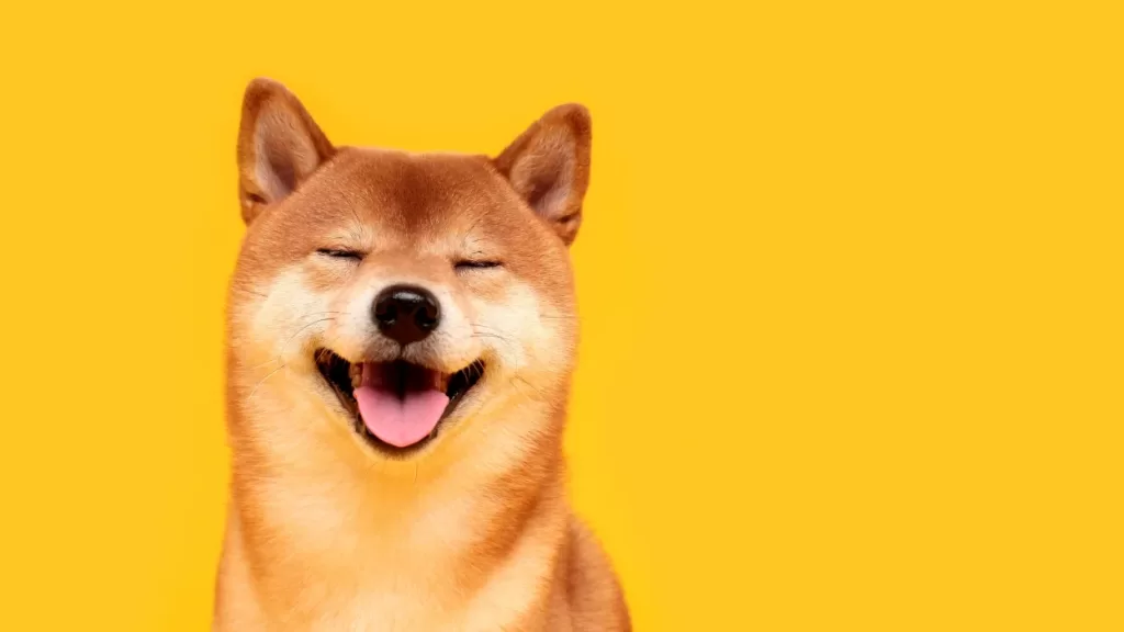 Twitter představil nové logo Doge